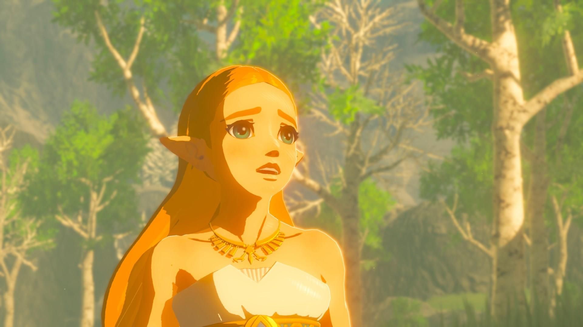 The Legend of Zelda: Breath of The Wild (Gra NS)