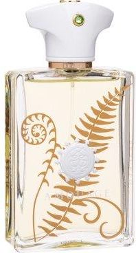 Amouage Bracken Woda Perfumowana 100 ml Opinie i ceny na Ceneo.pl