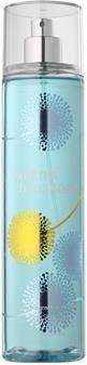 Bath and body works cotton blossom hotsell