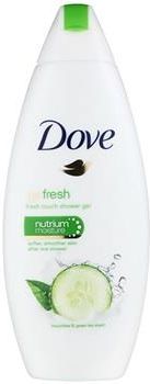 Dove Go Fresh Fresh Touch odżywczy żel pod prysznic 250ml 