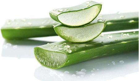 Krem Lr Aloe Vera Men Antystresowy Nawilajcy na dzie 100ml - Opinie i  ceny na Ceneo.pl