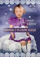 Zdjęcie Koronki z płatków śniegu - Poznań