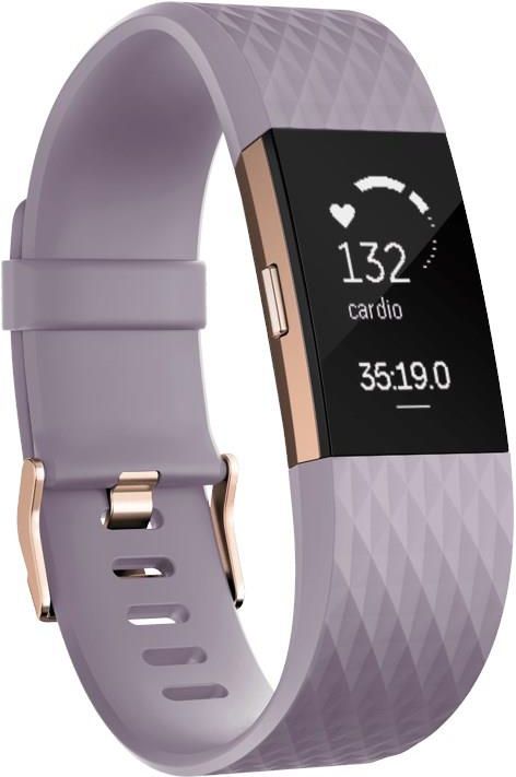fitbit 407