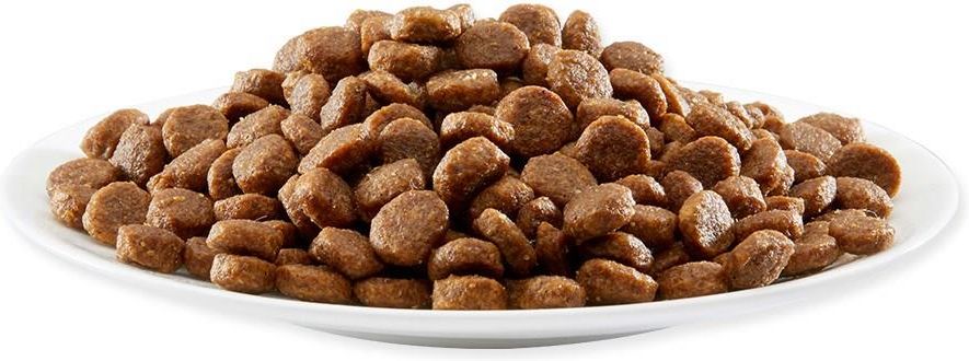 Applaws Cat Adult Kurczak Łosoś 7,5kg - zdjęcie 2 Applaws Cat Adult Kurczak Łosoś 7,5kg