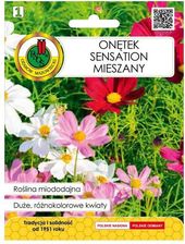 Zdjęcie Nasiona onętek Sensation mieszanka 1,5 g - Głuchołazy
