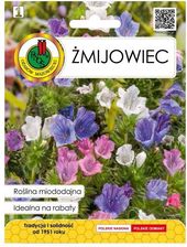Nasiona żmijowiec 1 g - zdjęcie 1