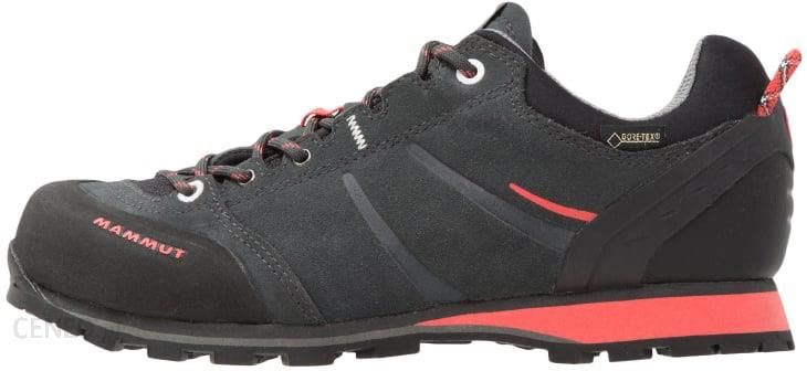 Mammut WALL GUIDE GTX Buty wspinaczkowe graphite/barberry - Ceny i