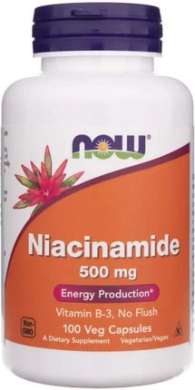 Now Foods Witamina B3 Niacinamide 500 Mg 100 kaps.