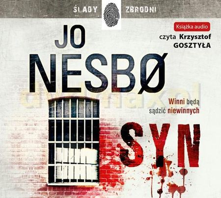 Syn - Jo Nesbo [AUDIOBOOK]
