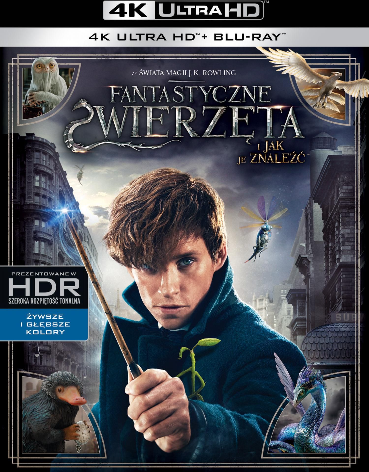 Film Blu-ray Fantastyczne zwierzęta i jak je znaleźć [4K Blu-Ray]+[Blu