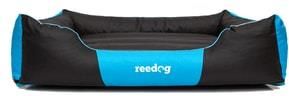 Reedog Comfy Black & Blue p3682 