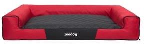 Reedog Red Victory p4564 