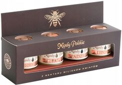 Miody Polskie miód naturalny mix 40 g