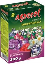 Zdjęcie Agrecol Rododendron Plantacote 0,3kg - Suchedniów