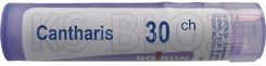 Zdjęcie Boiron Cantharis 30CH 4 g - Siewierz