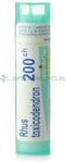 Zdjęcie Boiron Rhustoxicodendron 200CH 4 g - Czersk