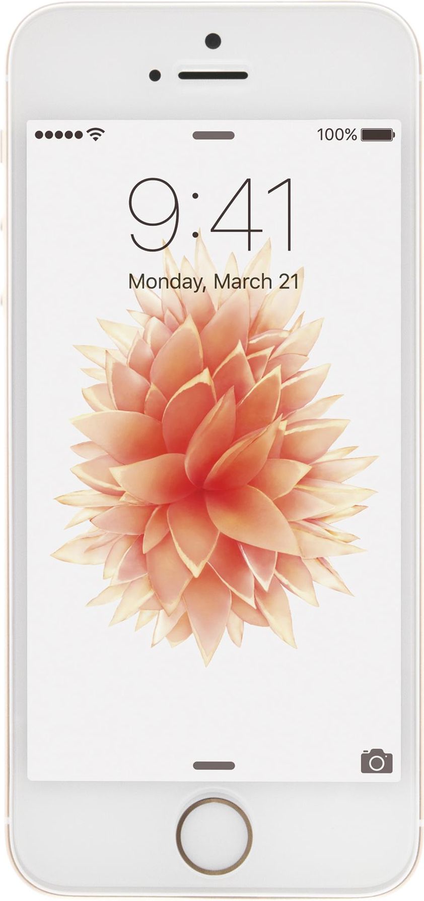 Apple iPhone SE 128GB Złoty - Cena, opinie na Ceneo.pl