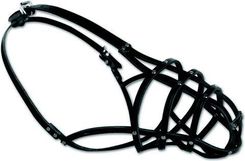 Zdjęcie Dingo Kaganiec skórzany nitowany Rottweiler mały nr 8  - Piotrków Trybunalski