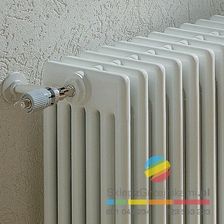 Zdjęcie Zehnder Charleston 5 260x1748 38 el. - Jedlina-Zdrój