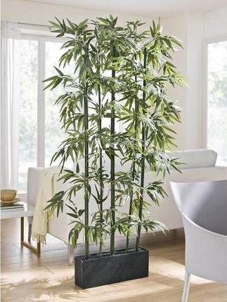 Bambus 127cm w doniczce
