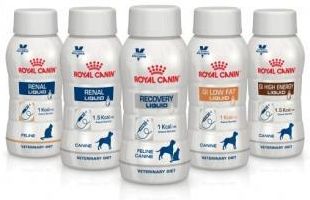  CANIN GI LOW FAT LIQUID 200ml × 3 Royal Canin Canine GI Low Fat Liquid - Vetopia Online Store