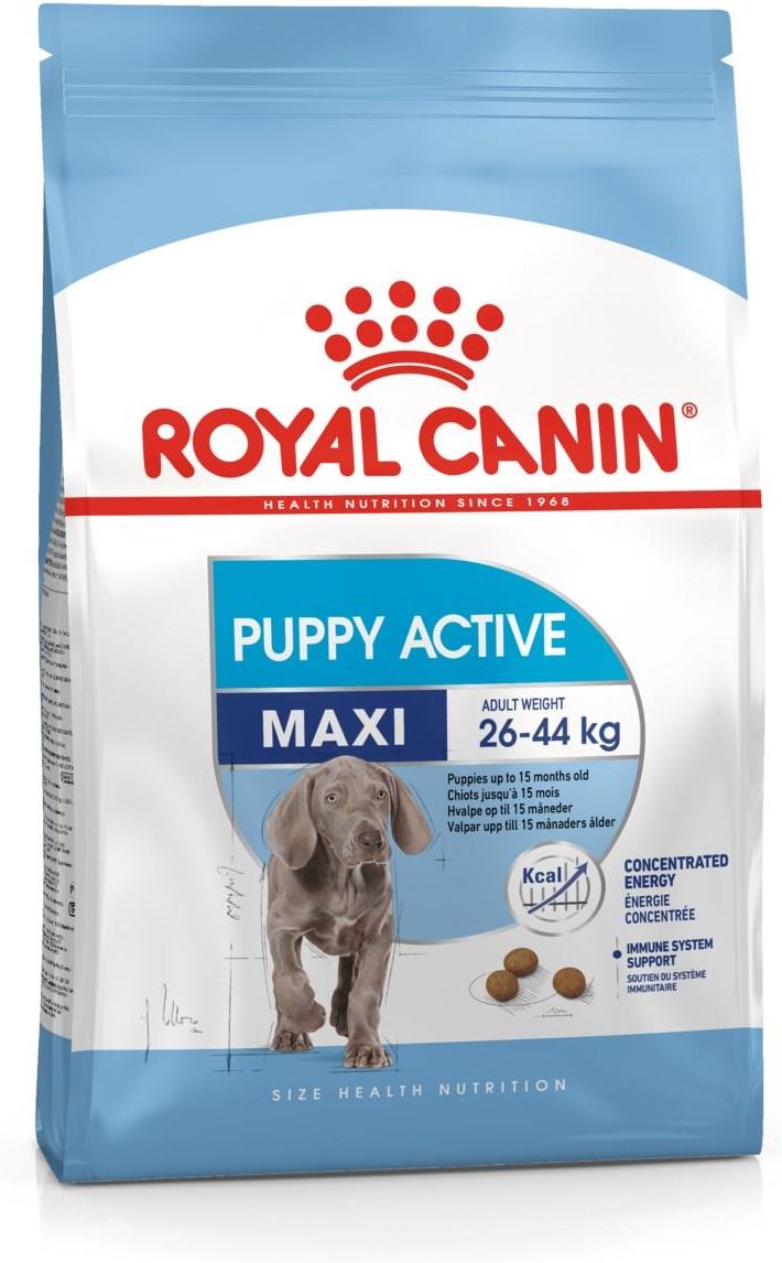 Karma Royal Canin Maxi Puppy Active 1kg Ceny i opinie Ceneo.pl