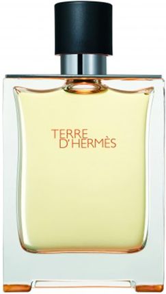 Terre D Hermes Hermes Woda Toaletowa 100 ml