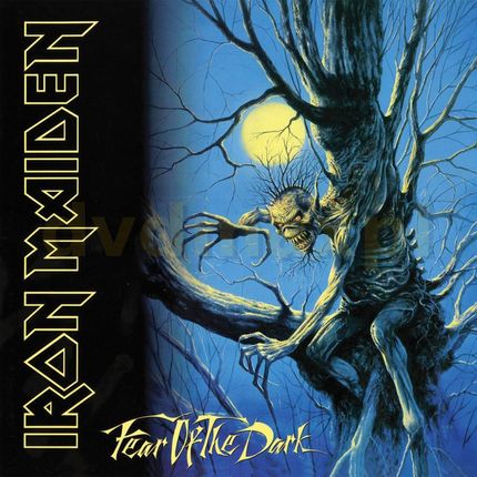 Iron Maiden: Fear Of The Dark [2xWinyl]