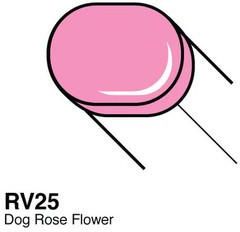 COPIC Sketch - RV25 - Dog Rose Flower
