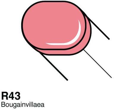 COPIC Sketch - R43 - Bougainvillaea