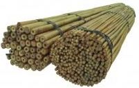 Dixie Store Tyczki Bambusowe 90 Cm 10/12 Mm /100 Szt/