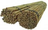 Zdjęcie Dixie Store Tyczki Bambusowe 150 Cm 18/20 Mm /50 Szt/ - Łańcut