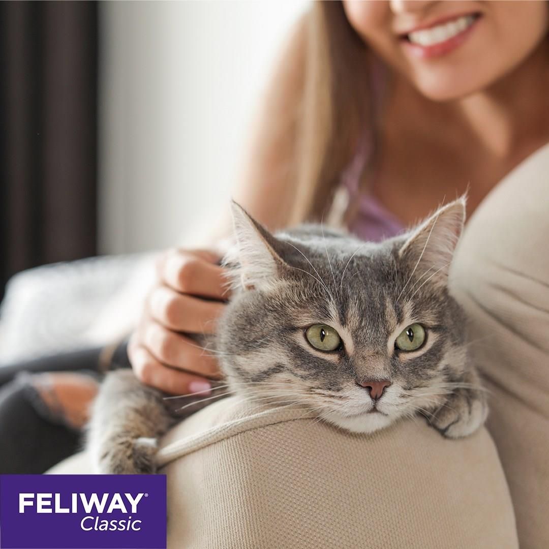 Feliway Kocie Feromony Zestaw Startowy - zdjęcie 1 Feliway Kocie Feromony Zestaw Startowy