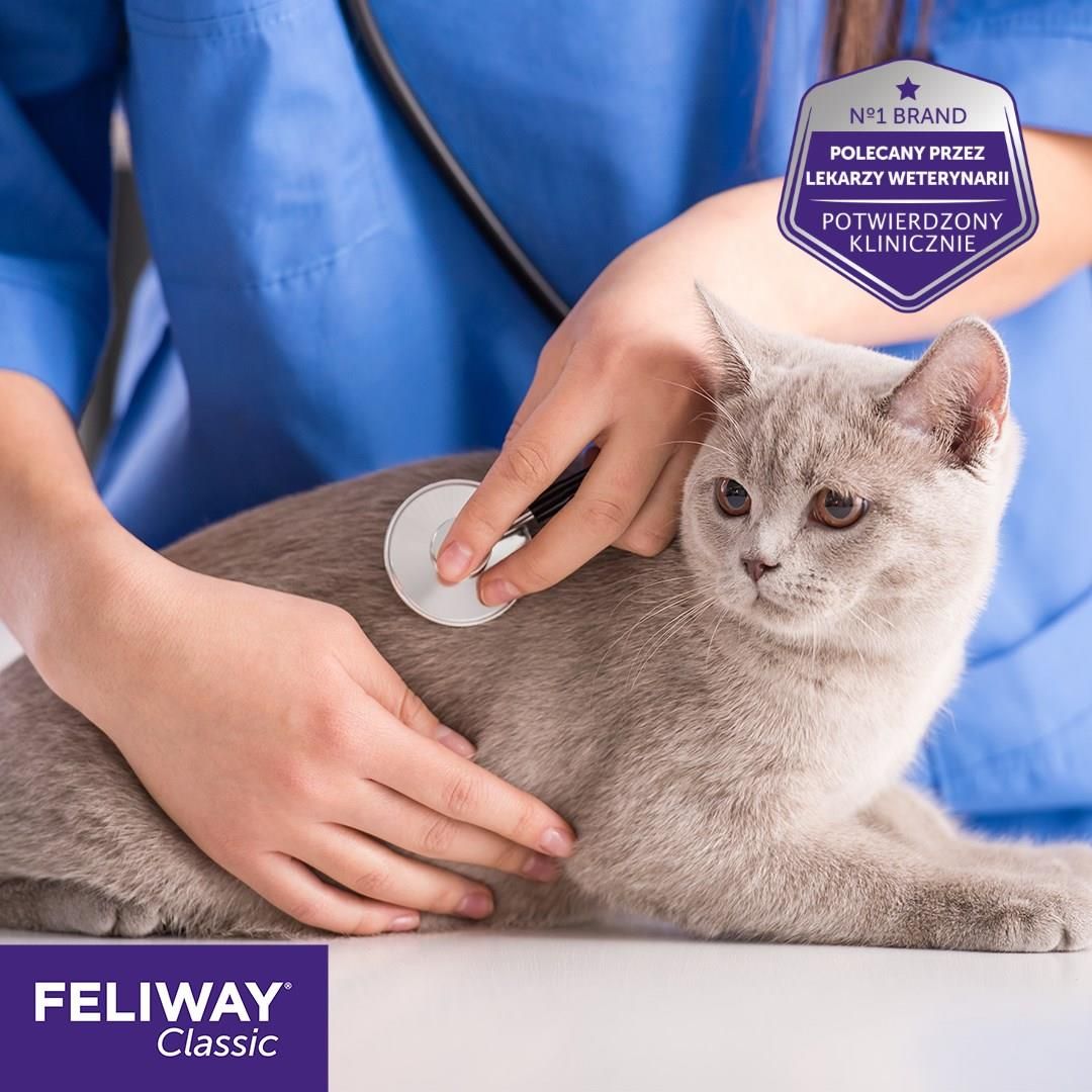 Feliway Kocie Feromony Zestaw Startowy - zdjęcie 4 Feliway Kocie Feromony Zestaw Startowy
