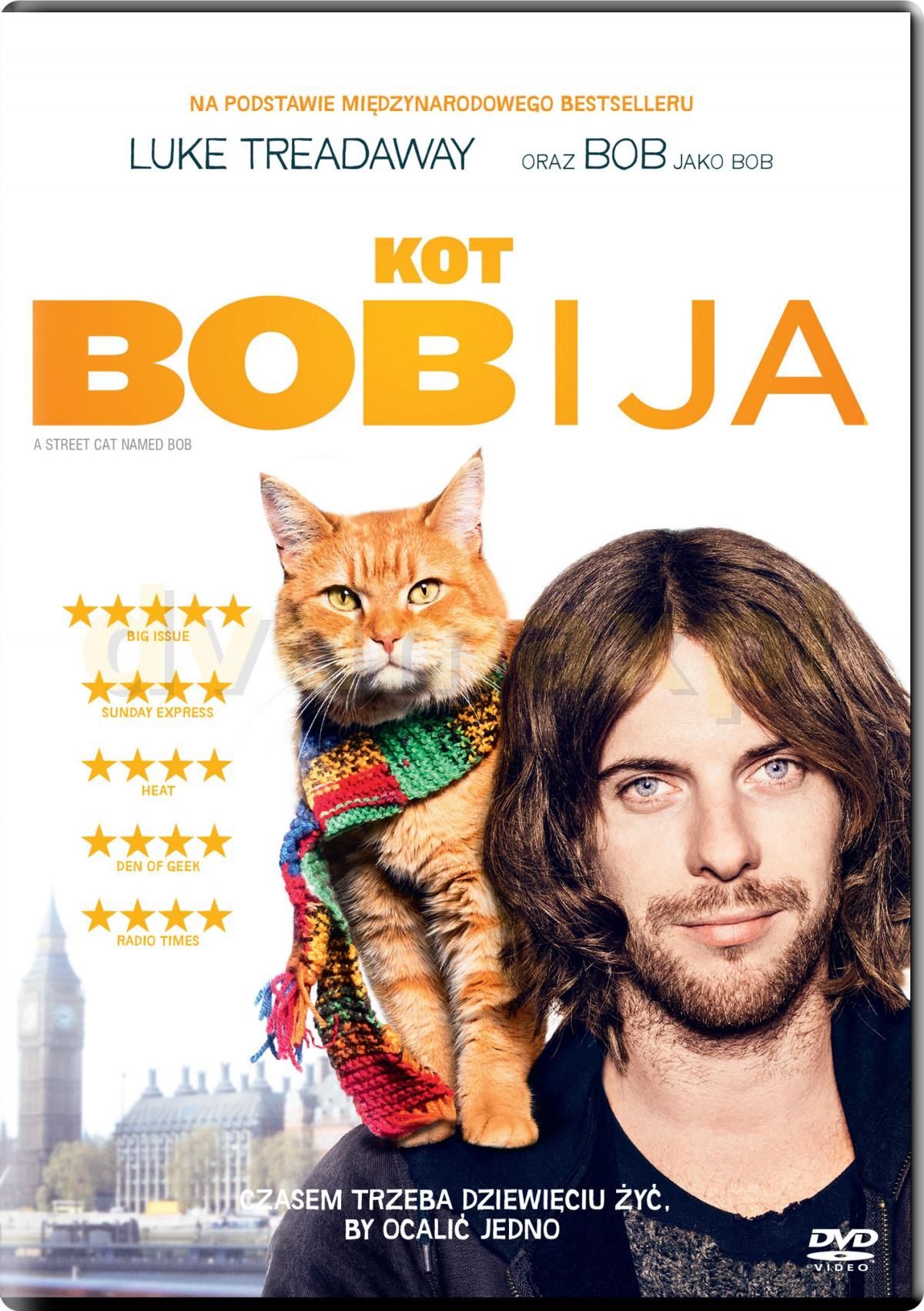 Film Dvd Kot Bob I Ja Dvd Ceny I Opinie Ceneo Pl