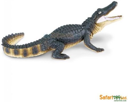 Safari Aligator (276429)