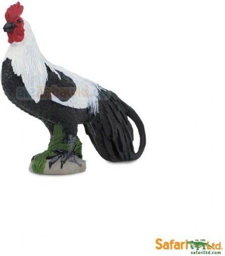 Kogut nonster