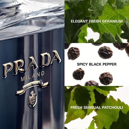 Prada Infusion Dapos Homme Woda Toaletowa 50 ml - zdjęcie 2