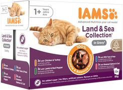 IAMS Advanced Nutrition – mokra karma w saszetkach dla kotów powyżej 1. roku wybór mięsnych i rybnych smaków w sosie 12x85g