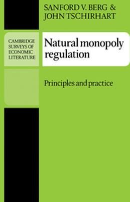 Natural Monopoly Regulation: Principles and Practice