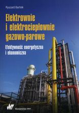 Zdjęcie Elektrownie i elektrociepłownie gazowo-parowe. Efektywność energetyczna i ekonomiczna - Szczecin