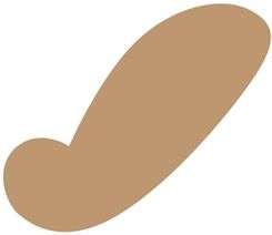 Zdjęcie Leniar Krzywik krawiecki 30x12cm - Wolbórz