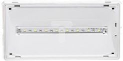 Awex Oprawa awaryjna EXIT IP65 3W 3h jednozadaniowa AT ETE/3W/B/3/SE/AT/WH
