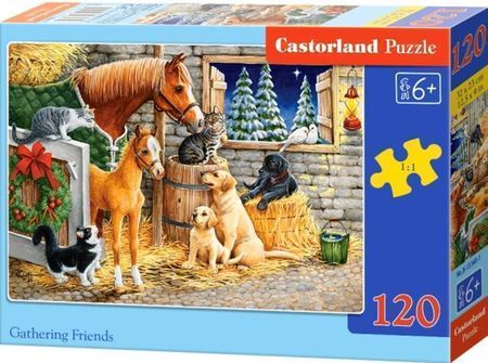 Castorland Puzzle 120el. Gathering Friends
