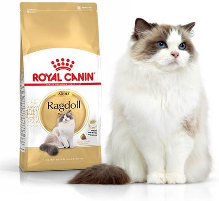 Karma Royal Canin Ragdoll 2x10kg - Ceny i opinie 