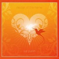 Nectar Of The Name (CD)