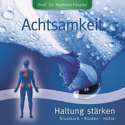 Achtsamkeit-Haltung Staer (CD)