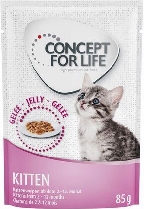 Concept for Life Kitten w galarecie 24x85g
