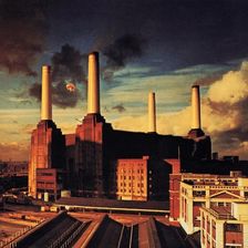 Zdjęcie Animals (Pink Floyd) (Winyl) - Gostynin