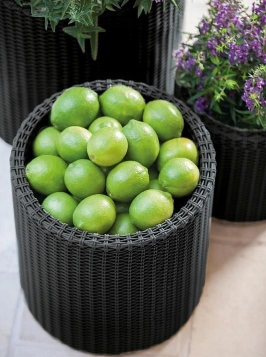 Keter Zestaw Doniczek S+M+L Cylinder Planters Antracytowy 218809